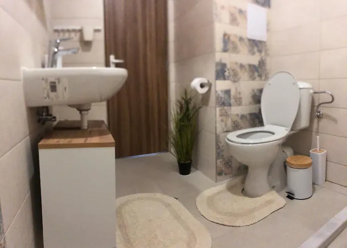 酒店 Akra 切尔诺莫雷茨